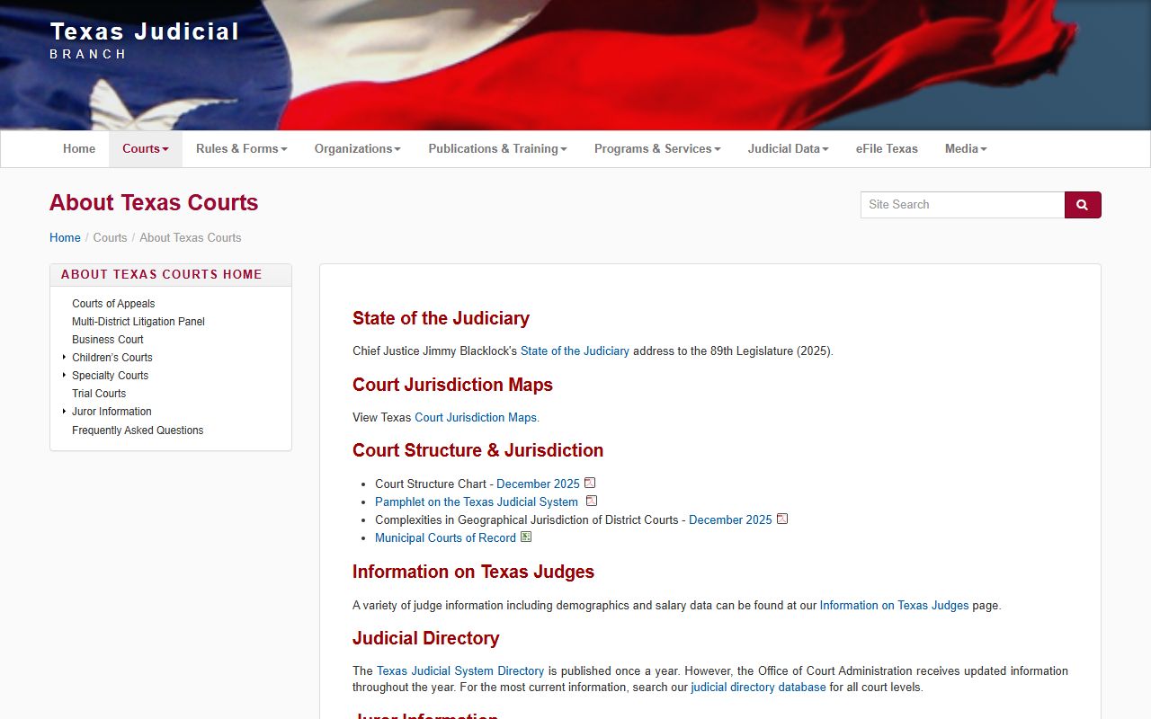About Texas Courts - Texas Public Records