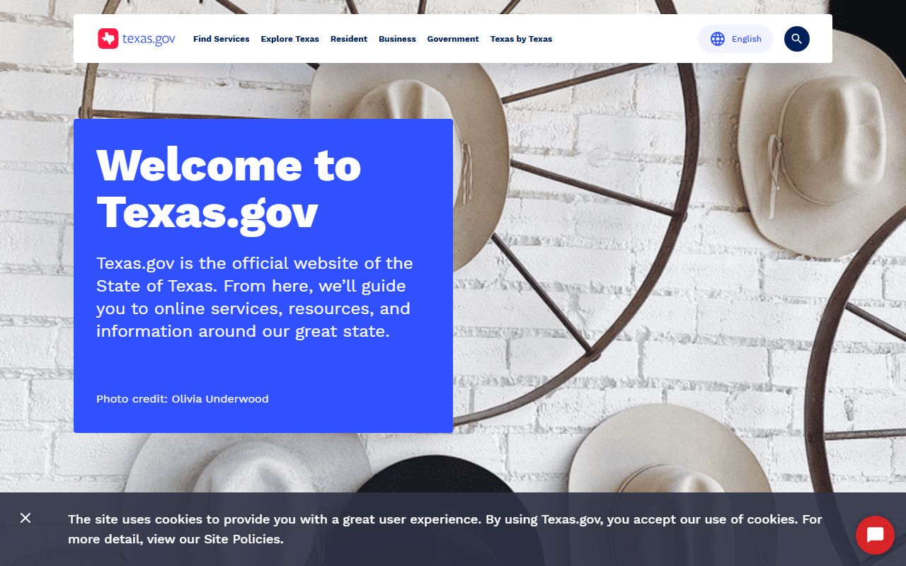 Texas.gov Official State Portal - Texas Public Records